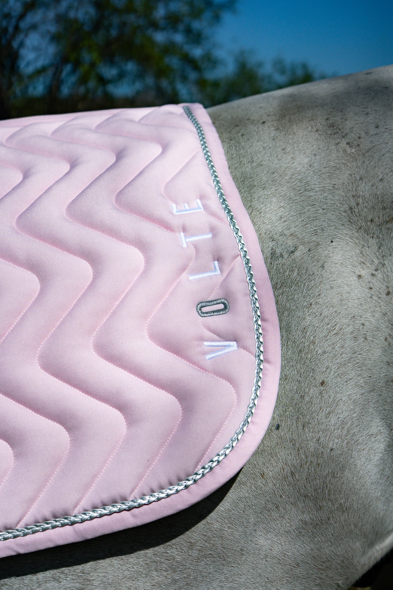 Tapis Le Pétillant - Rose