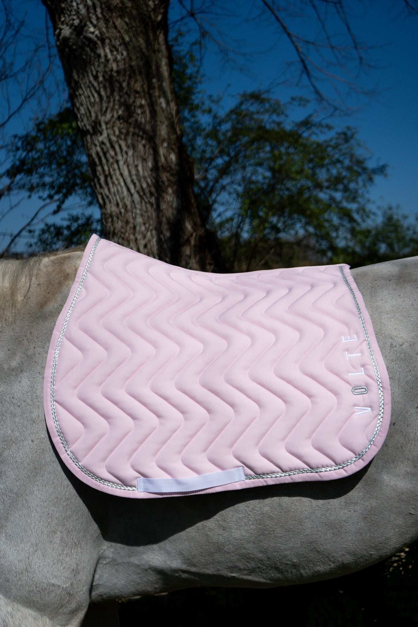 Tapis Le Pétillant - Rose