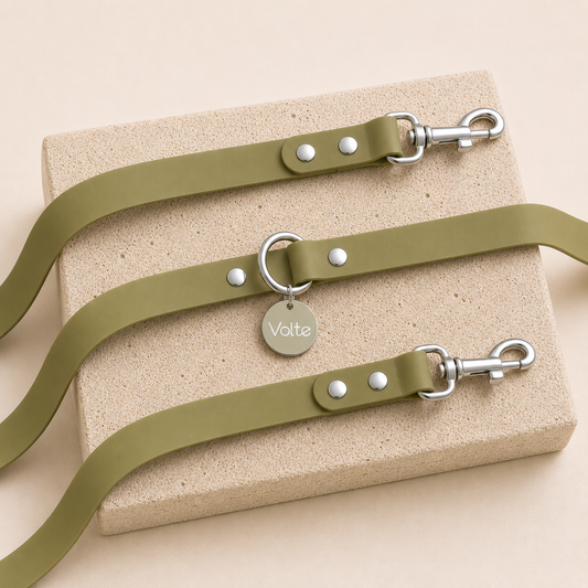 Laisse "La Multi" - Vert