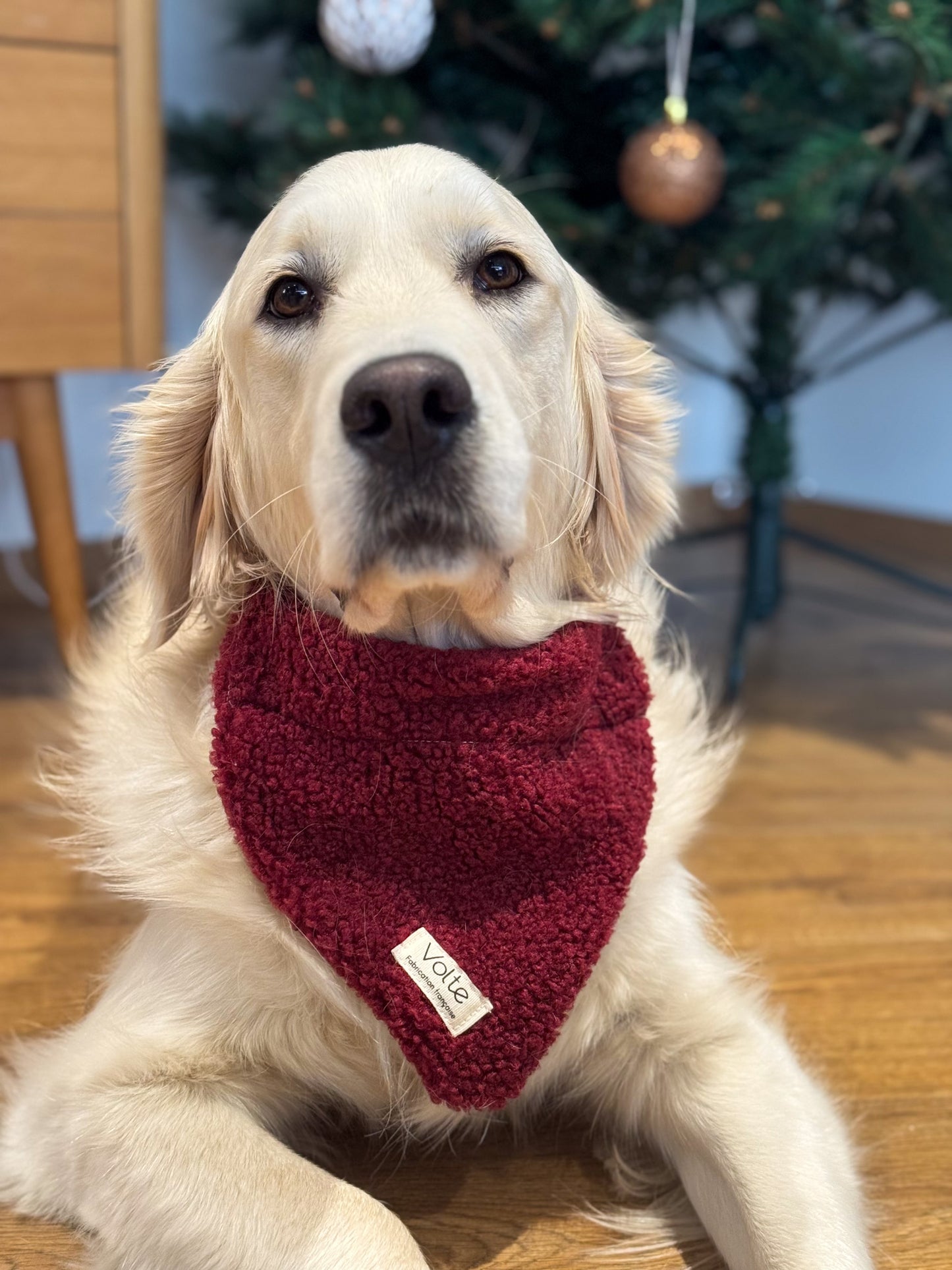 Le Band'Una - Bordeaux