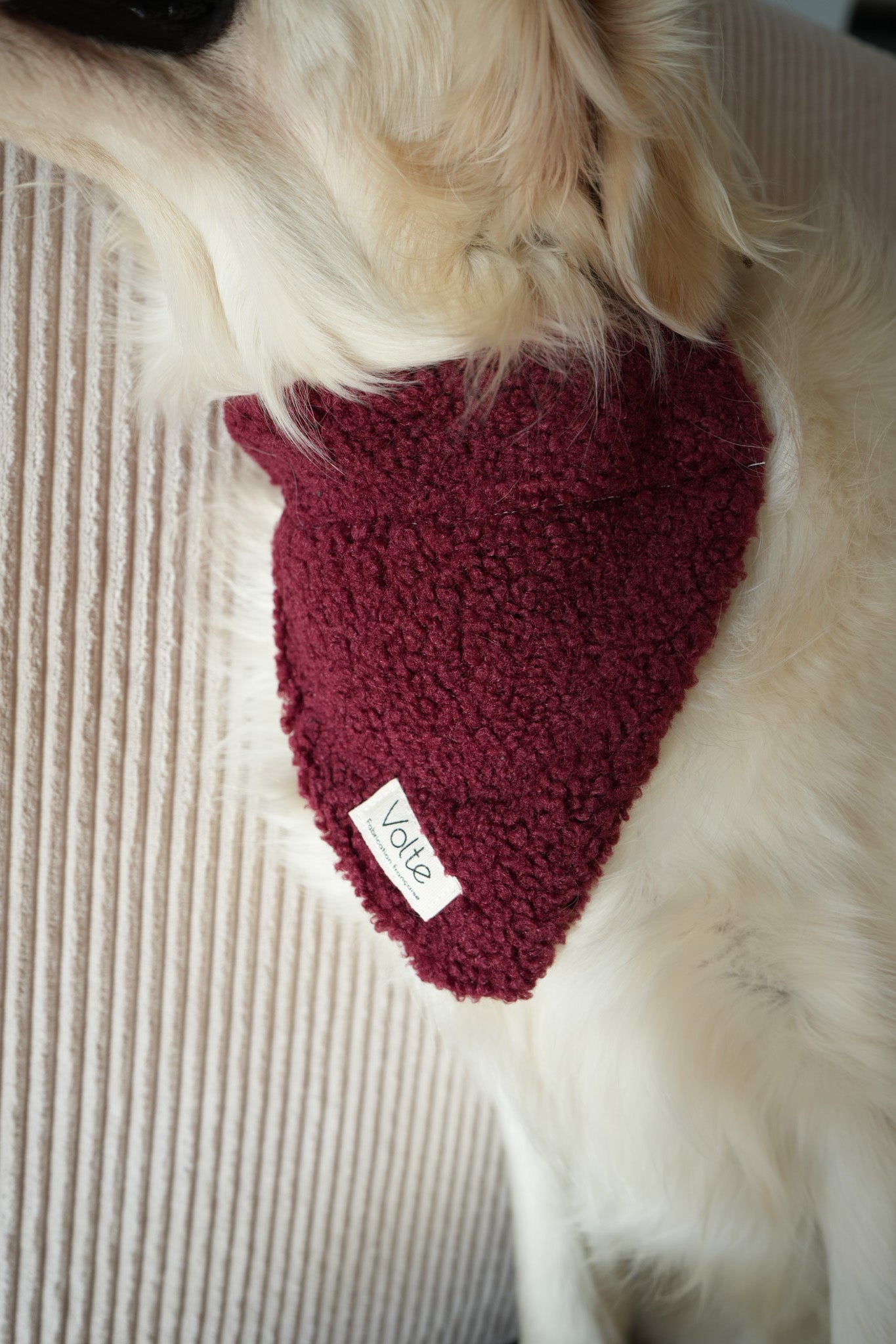 Le Band'Una - Bordeaux