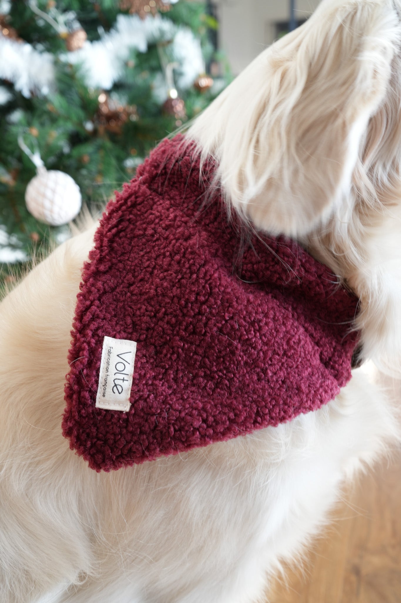 Le Band'Una - Bordeaux