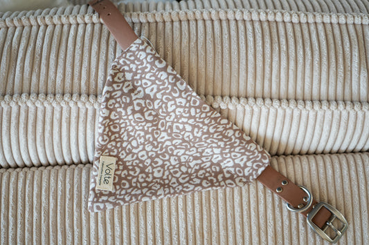 Le Band'Una - Léopard