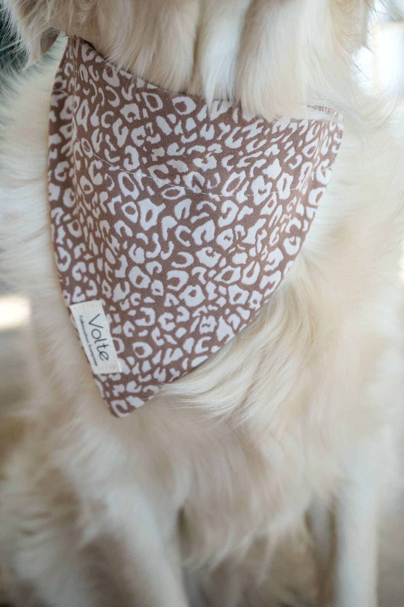 Le Band'Una - Léopard