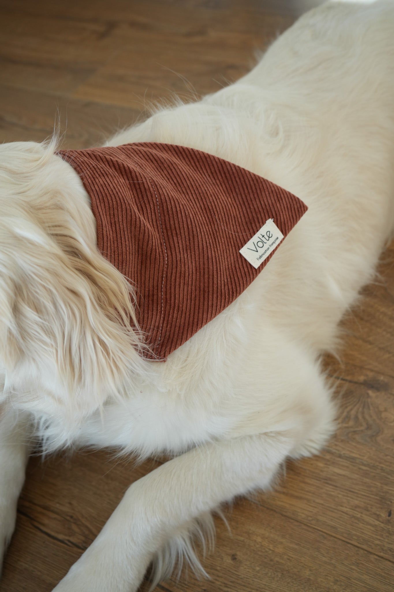 Le Band'Una - Marron