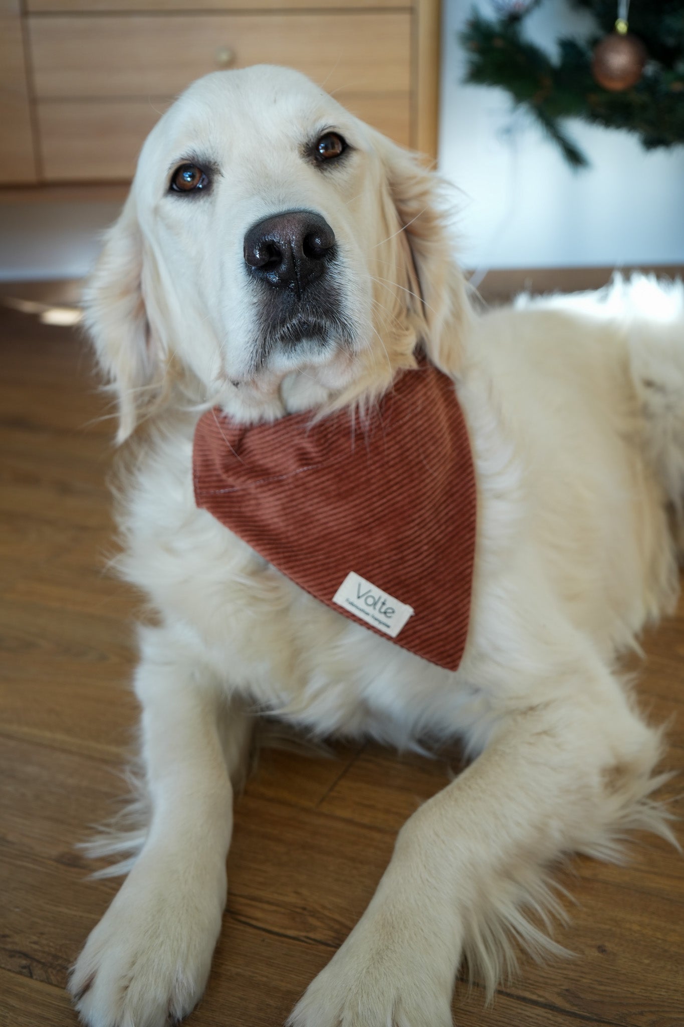 Le Band'Una - Marron