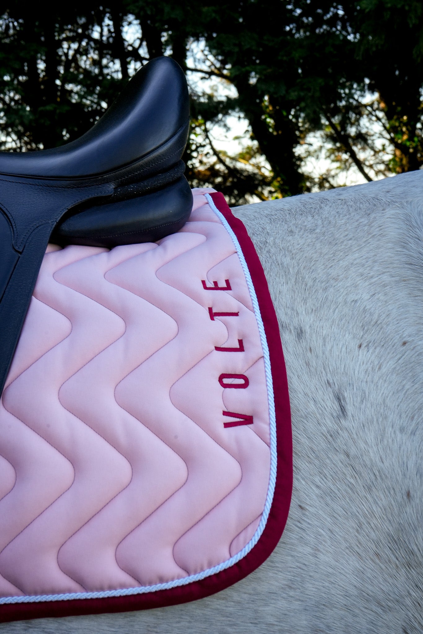 Tapis Le Signature - Rose