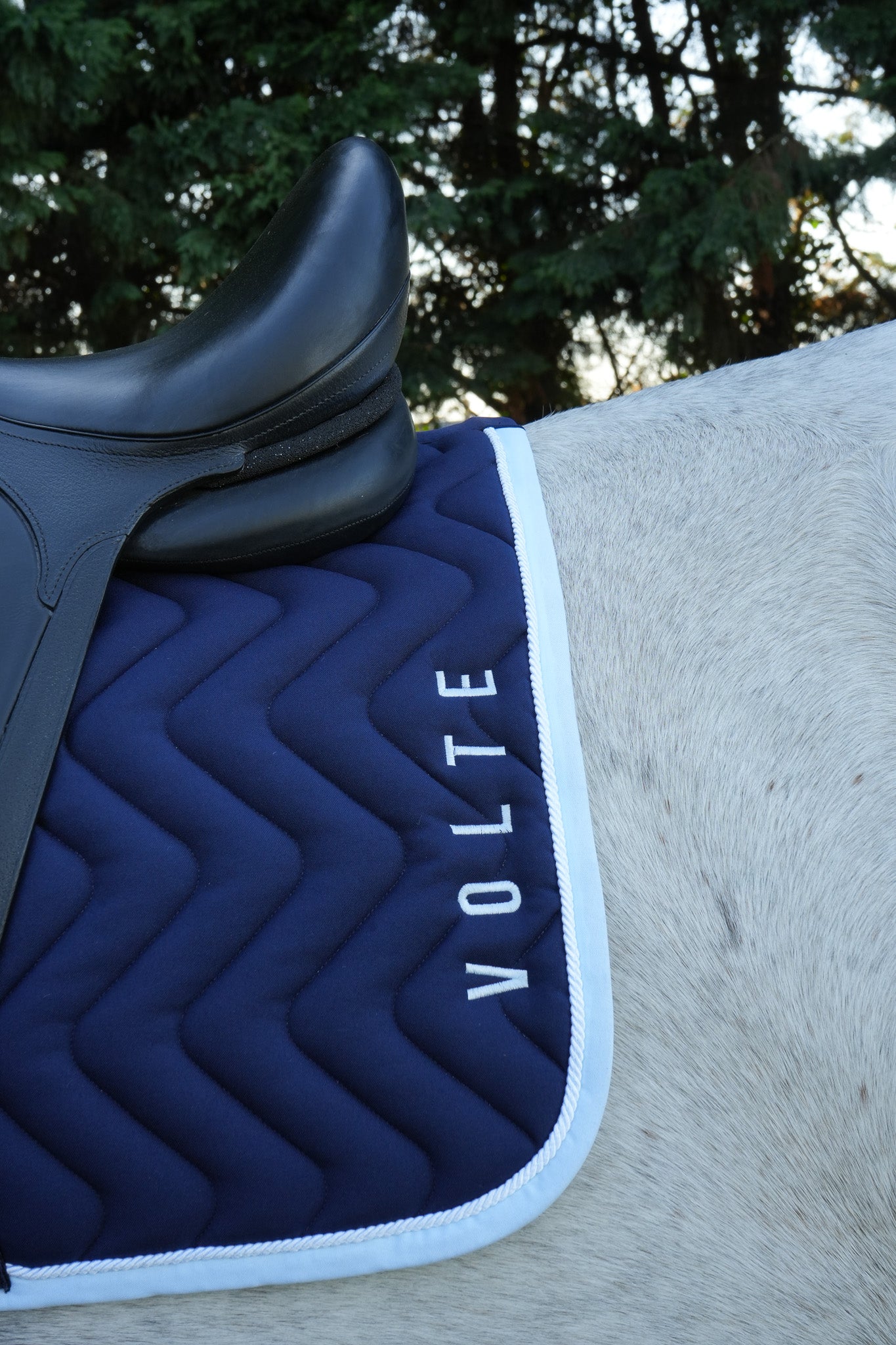 Tapis Le Signature - Marine